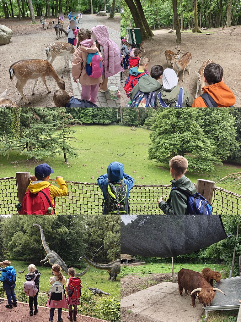 Wildpark